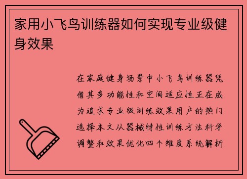 家用小飞鸟训练器如何实现专业级健身效果